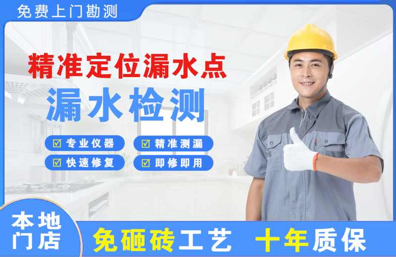 桃山精准测漏点